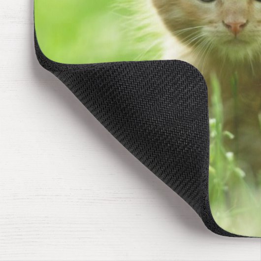 Tapis De Souris Pad-Kitten (Coin)