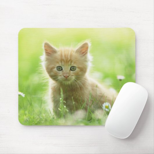 Tapis De Souris Pad-Kitten (Avec souris)
