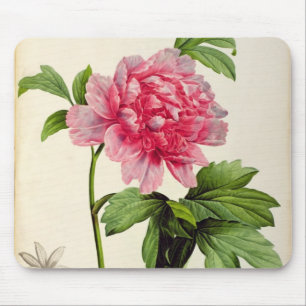 Tapis De Souris Paeonia Moutan, c.1799