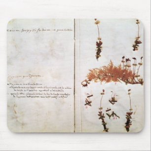 Tapis De Souris Page 15 d'un herbier