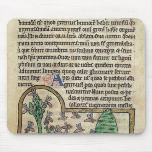 Tapis De Souris Page de Roy de texte avec l'illustration de