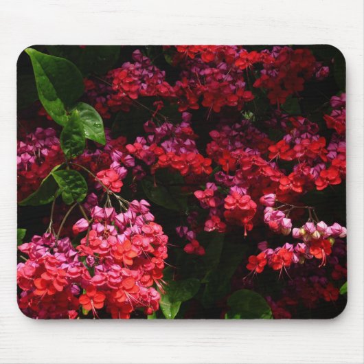 Tapis De Souris Pagoda Flowers Colorful (Devant)
