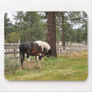 Tapis De Souris Paint Horse Mousepad