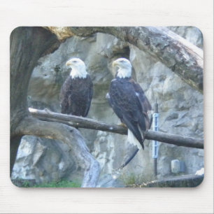 Tapis De Souris Paire d'aigles chauds