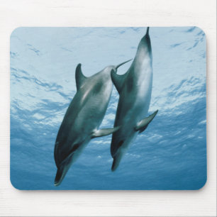 Tapis De Souris Paire de dauphins