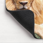 Tapis De Souris Paire de lions africains, Panthera leo, Tanzanie (Coin)