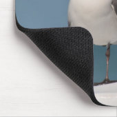 Tapis De Souris Paire de Mouettes à tête noire (Coin)