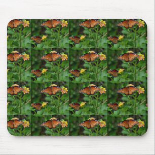 Tapis De Souris Paire de papillons royaux