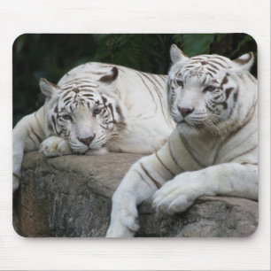 Tapis De Souris Paires de tigre