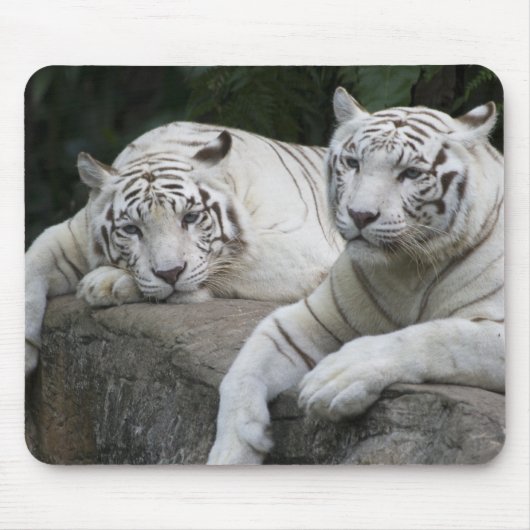 Tapis De Souris Paires de tigre (Devant)