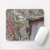 Tapis De Souris Paires Mousepad d'oiseau bleu (Avec souris)