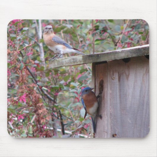 Tapis De Souris Paires Mousepad d'oiseau bleu (Devant)