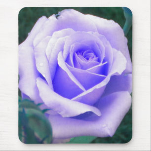 Tapis De Souris Pale Lavender Rose
