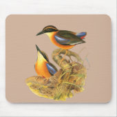 Tapis De Souris Palétuvier Pitta (Devant)