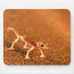 Tapis De Souris Palmatogecko sur dune de sable, Swakpomund, Erongo