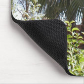 Tapis De Souris Palmier (Coin)