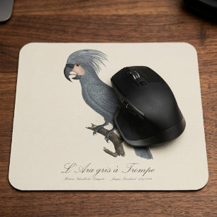 Tapis De Souris Palmiste noir, Probosciger aterrimus
