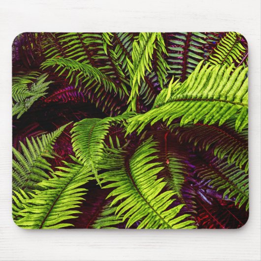 Tapis De Souris Palms 2 Mousepad (Devant)