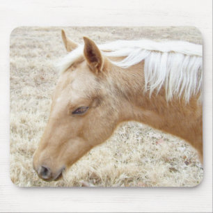 Tapis De Souris Palomino Colt Pony Horse