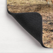 Tapis De Souris Palomino et Cheval de Ranch Blanc (Coin)