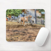 Tapis De Souris Palomino et Cheval de Ranch Blanc (Avec souris)