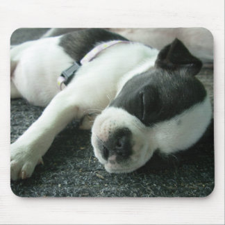 Tapis De Souris panda