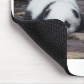 Tapis De Souris Panda (Coin)