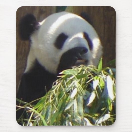 Tapis De Souris Panda (Devant)