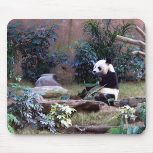 Tapis De Souris Panda (Devant)