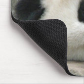 Tapis De Souris Panda (Coin)