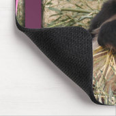Tapis De Souris panda1-00098-85x85 (Coin)