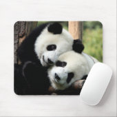 Tapis De Souris Panda Bears (Avec souris)