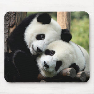 Tapis De Souris Panda Bears