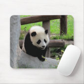 Tapis De Souris Panda bébé (Avec souris)