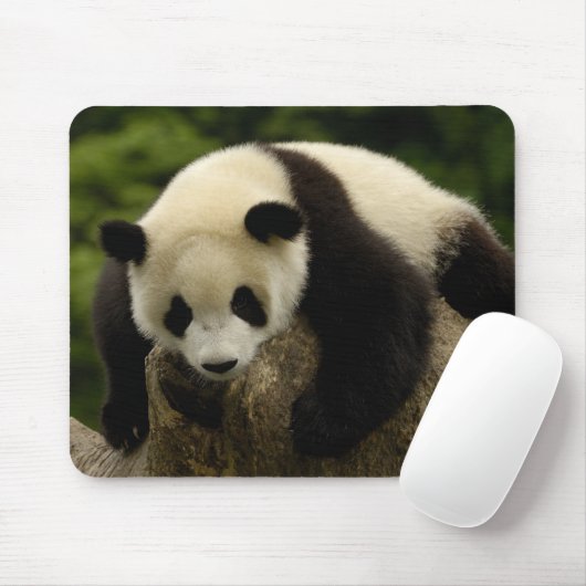 Tapis De Souris Panda bébé géant (Ailuropoda melanoleuca) (Avec souris)