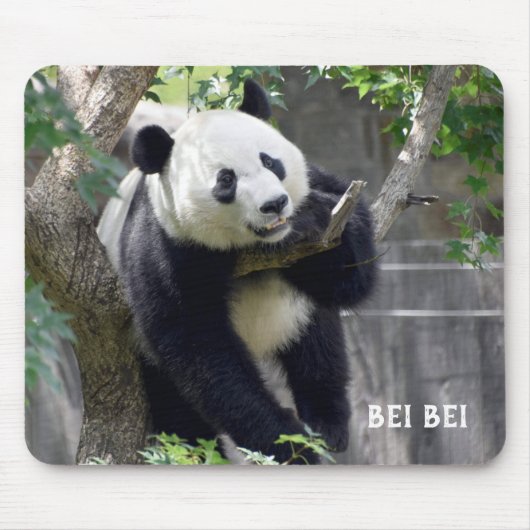 Tapis De Souris Panda Bei Bei Mousepad géant (Devant)