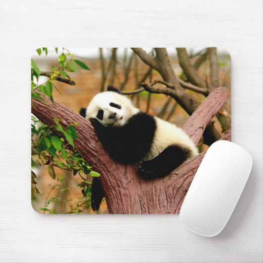 Tapis De Souris Panda couchage Panda bébé Souris (Avec souris)