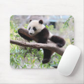 Tapis De Souris Panda CUB (Avec souris)
