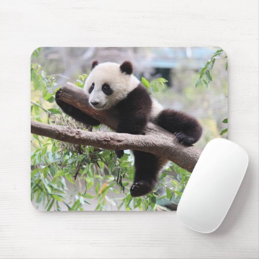 Tapis De Souris Panda CUB (Avec souris)