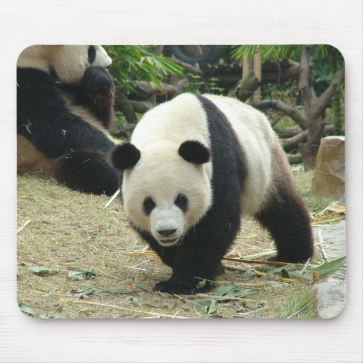 Tapis De Souris Panda géant (Devant)