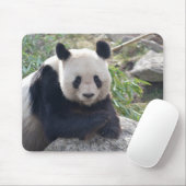 Tapis De Souris Panda Géant Amical (Avec souris)