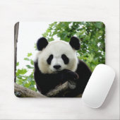 Tapis de souris Panda Géant Magnifique (Avec souris)