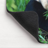 Tapis De Souris Panda Manger Feuilles (Coin)