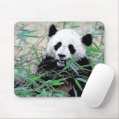 Tapis De Souris Panda Manger Feuilles (Avec souris)
