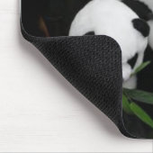 Tapis De Souris Panda Mousepad (Coin)