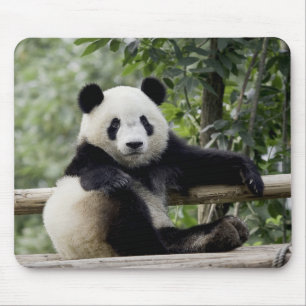 Tapis de souris Panda Relax Time