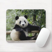 Tapis De Souris Panda Relax Time Pouse Pad (Avec souris)