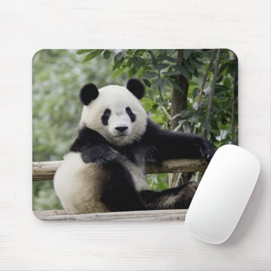 Tapis De Souris Panda Relax Time Pouse Pad (Avec souris)
