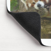 Tapis De Souris panda rouge (Coin)