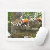 Tapis De Souris panda rouge (Avec souris)